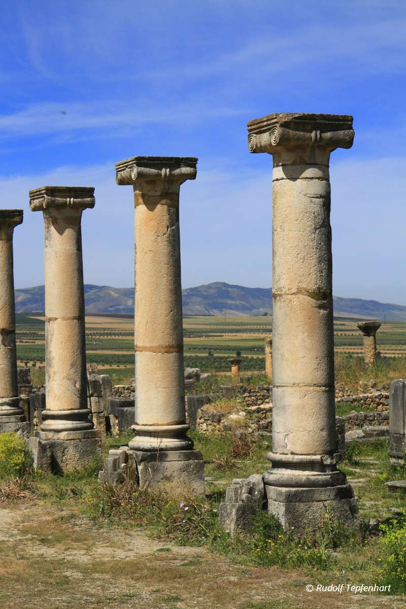 Volubilis