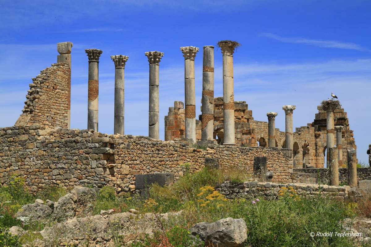 Volubilis