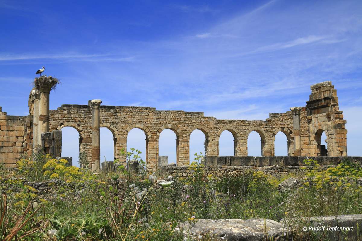 Volubilis