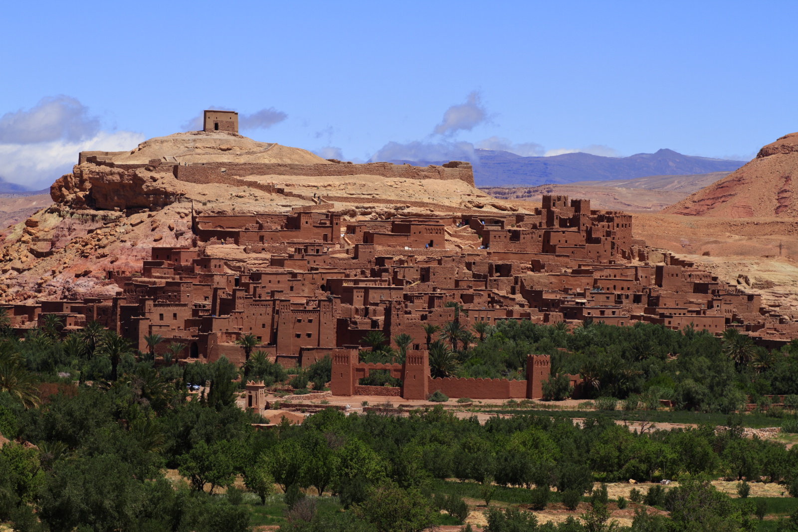 المغرب   🇲🇦