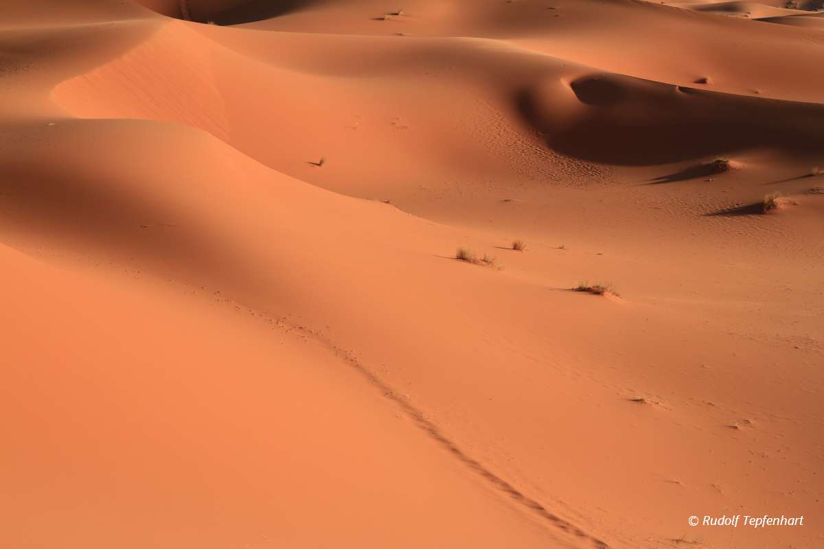 Erg Chebbi