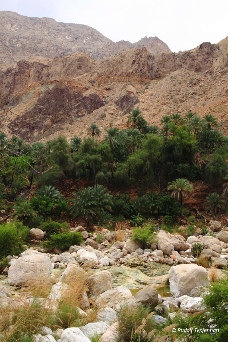 Wadi Tiwi