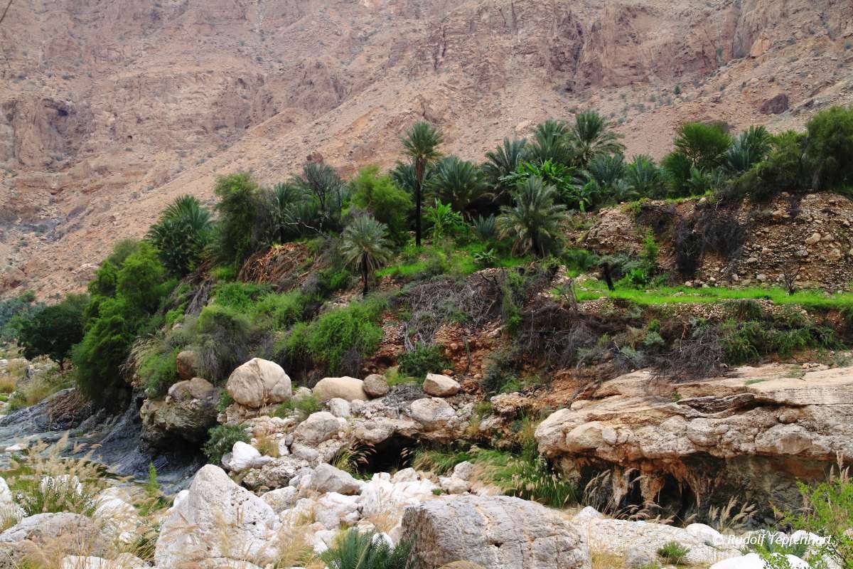 Wadi Tiwi