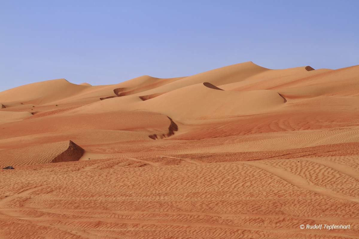 The Wahiba Sands