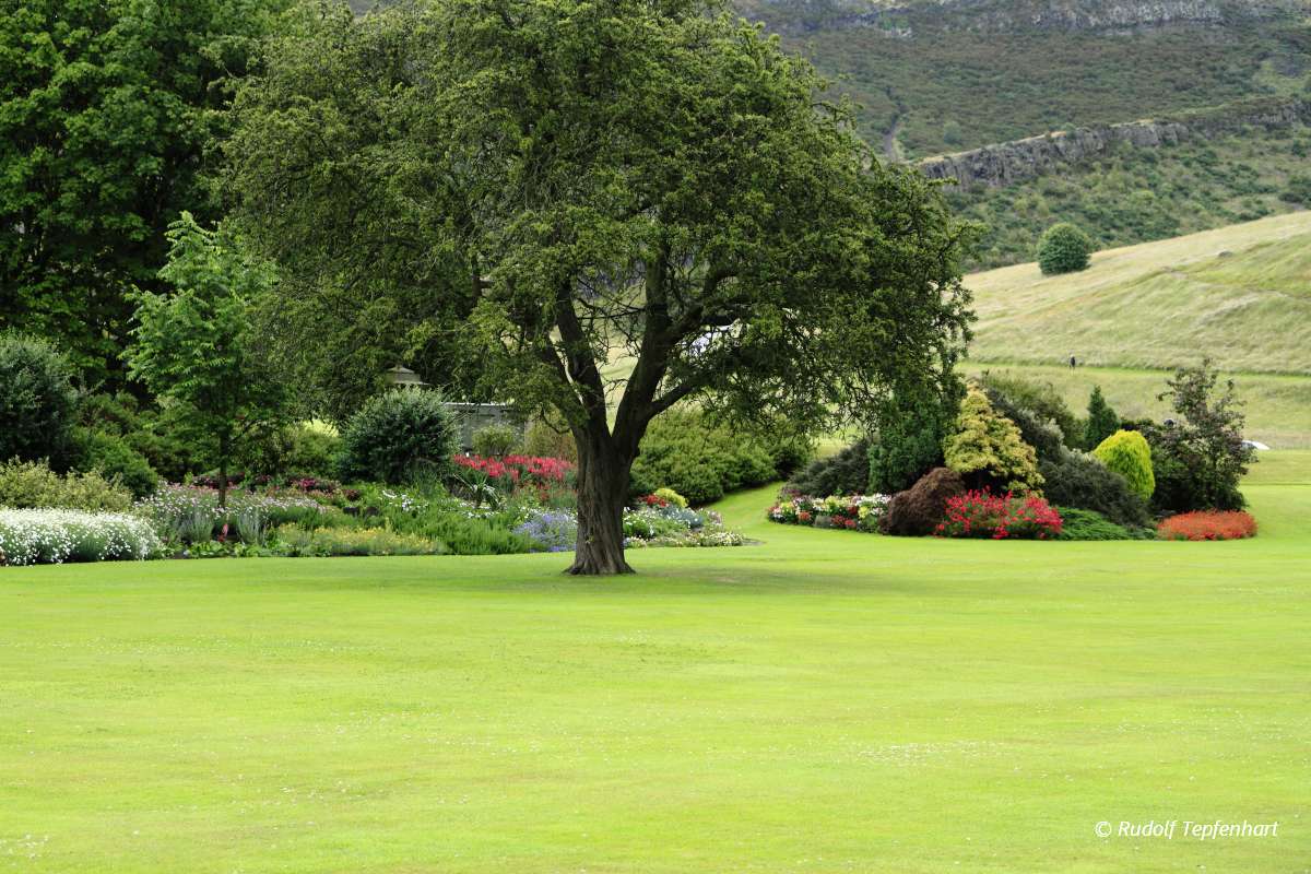 Holyrood Garden in Edinburgh