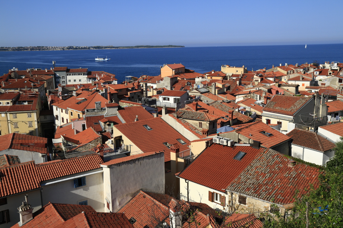 08.23 Slowenien  MG 9845