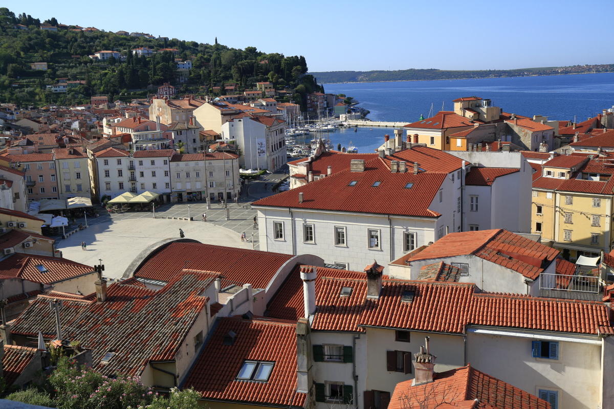 08.23 Slowenien  MG 9846