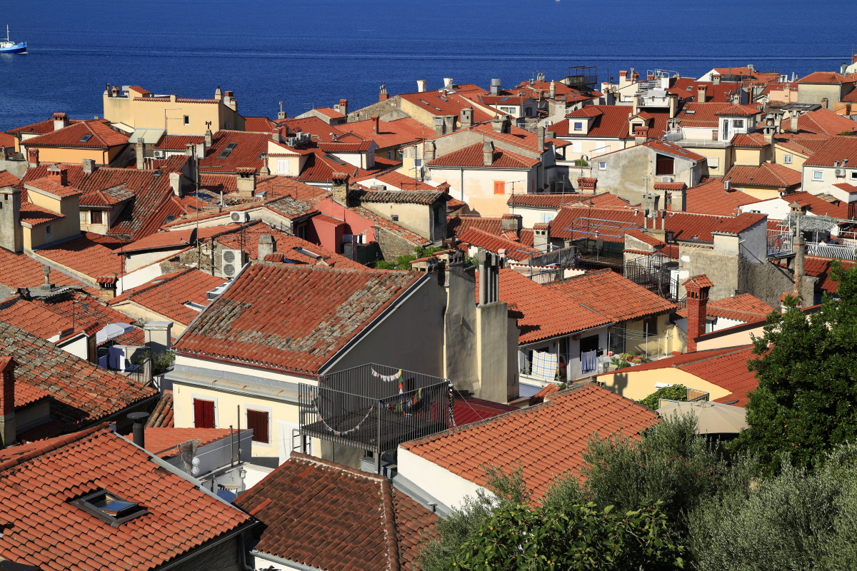 08.23 Slowenien  MG 9847