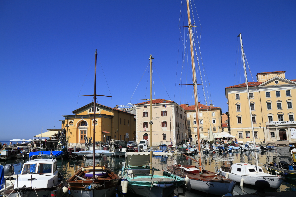 08.23 Slowenien  MG 9854