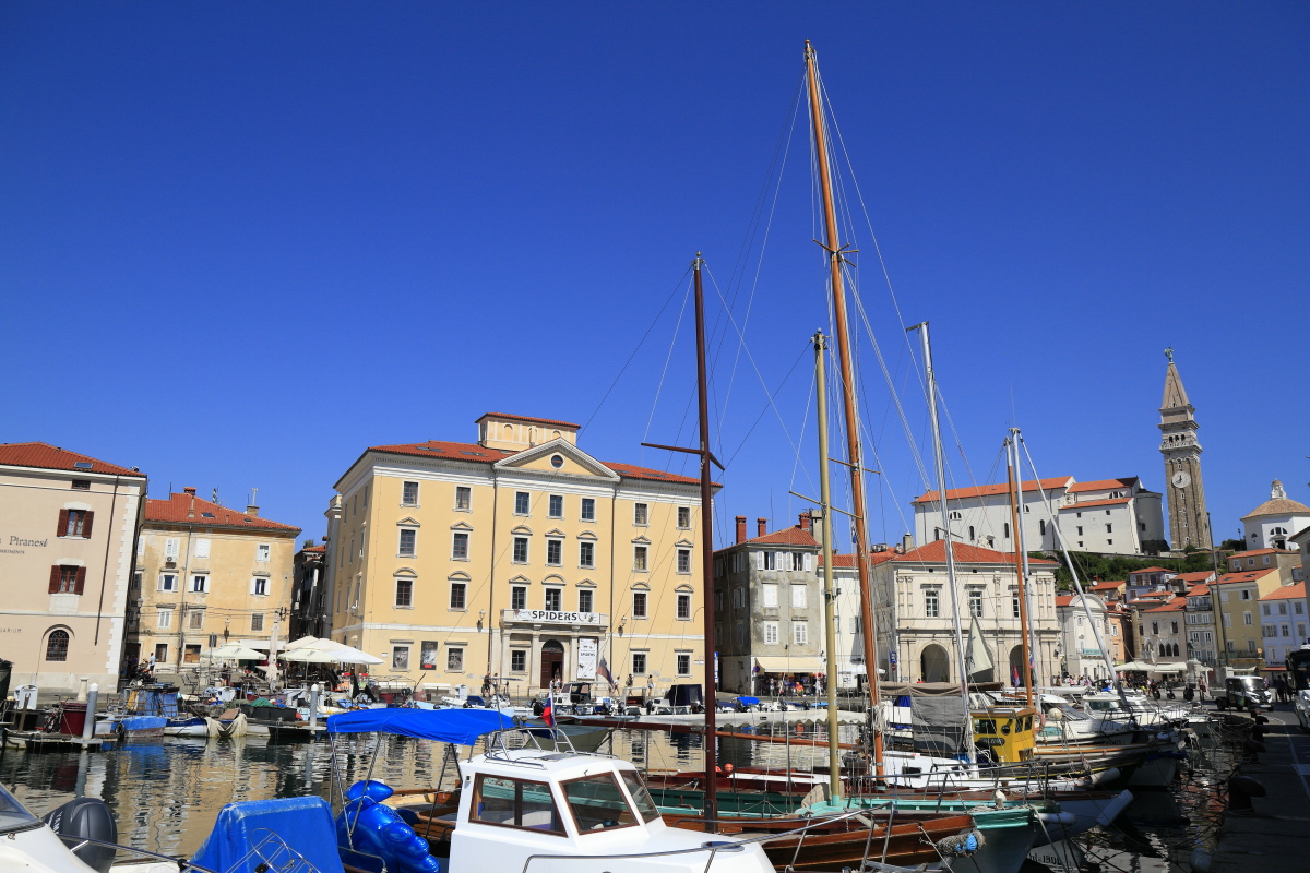 08.23 Slowenien  MG 9855