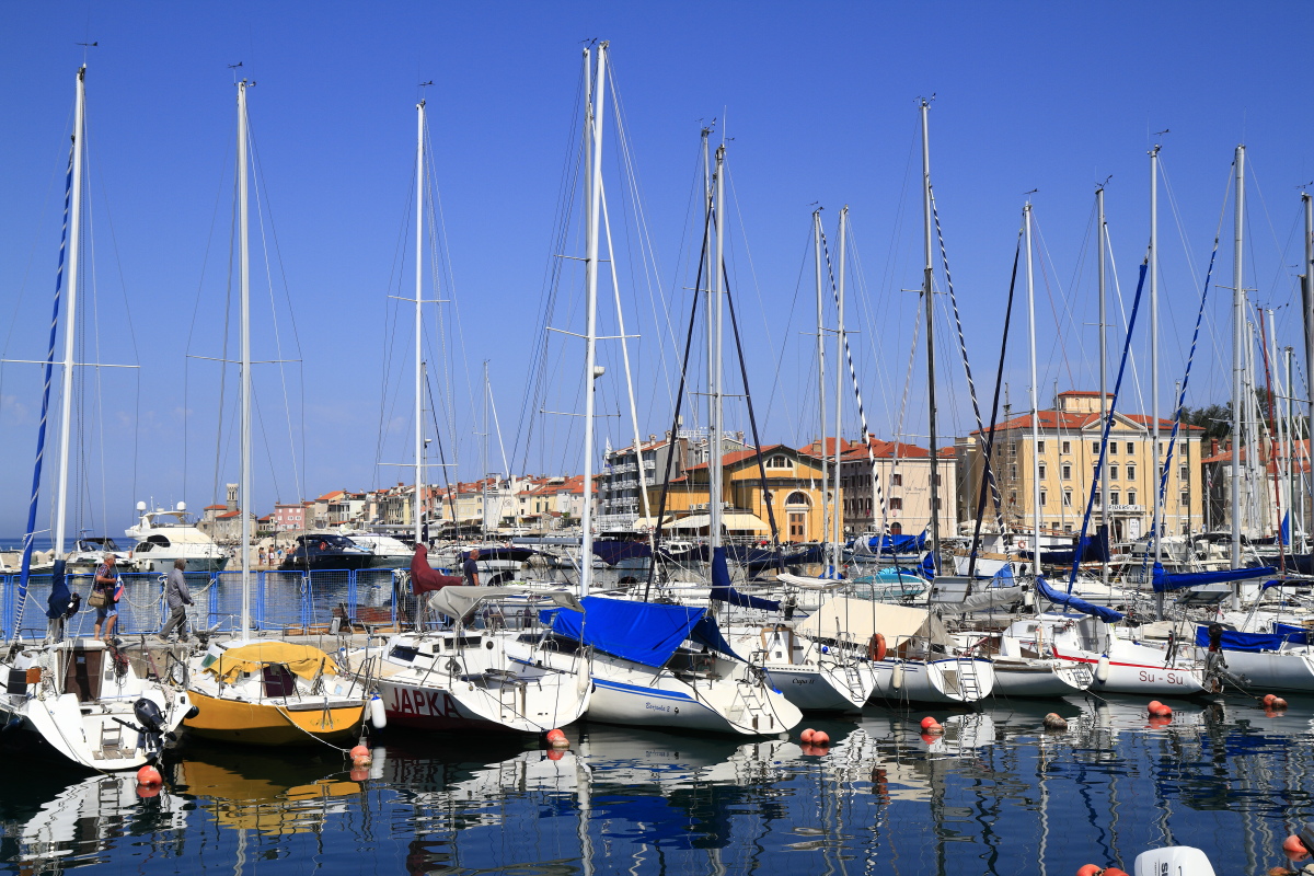 08.23 Slowenien  MG 9858