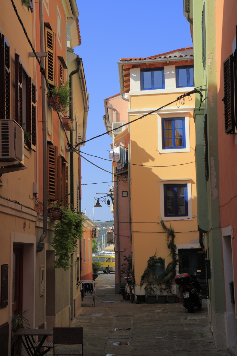 08.24 Slowenien  MG 9866