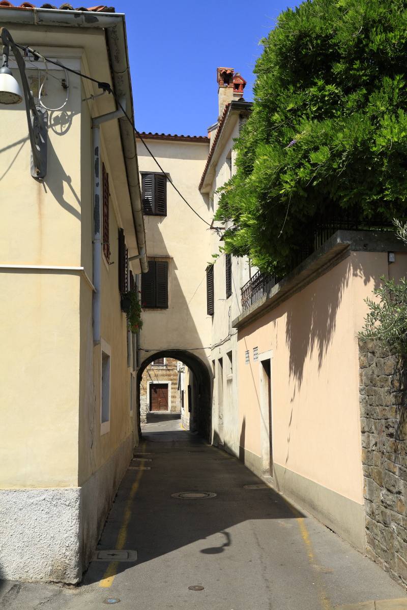 08.24 Slowenien  MG 9868