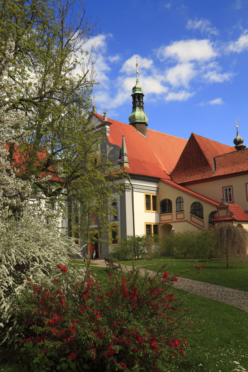 04.19 Südböhmen  MG 1837