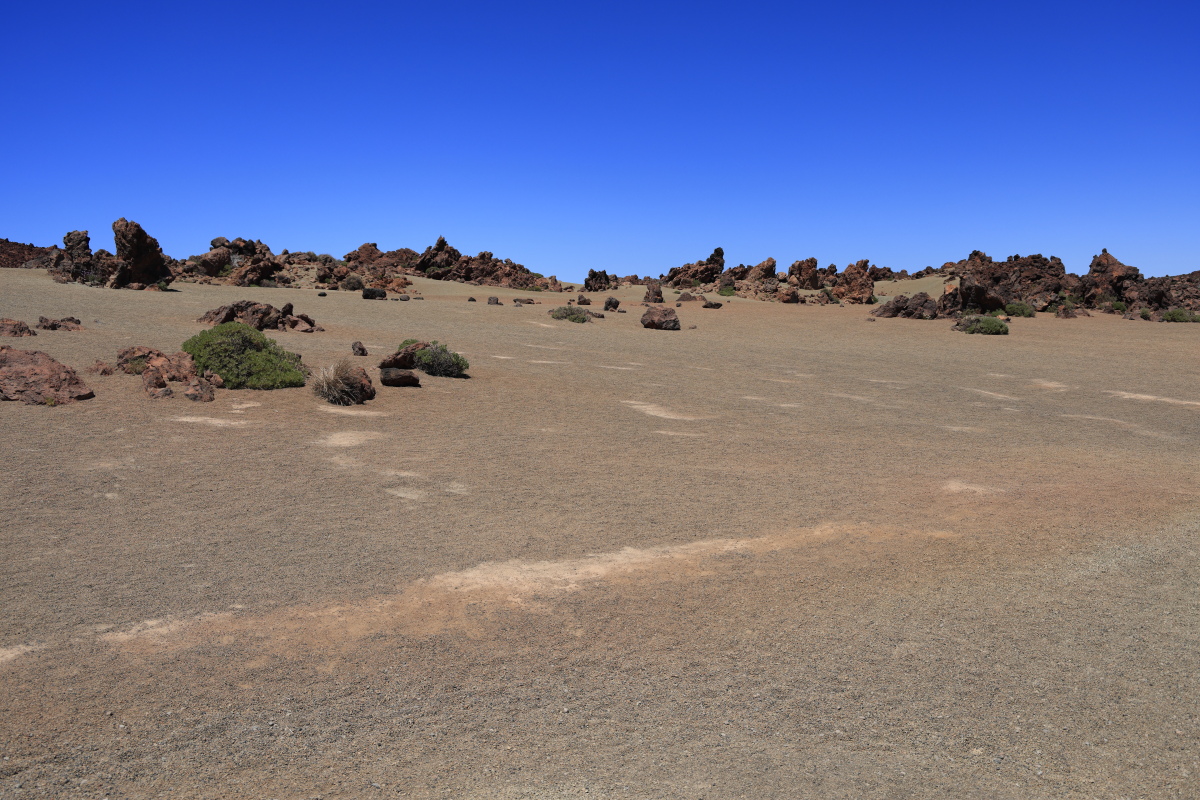 05.16 Teneriffa  08A0459