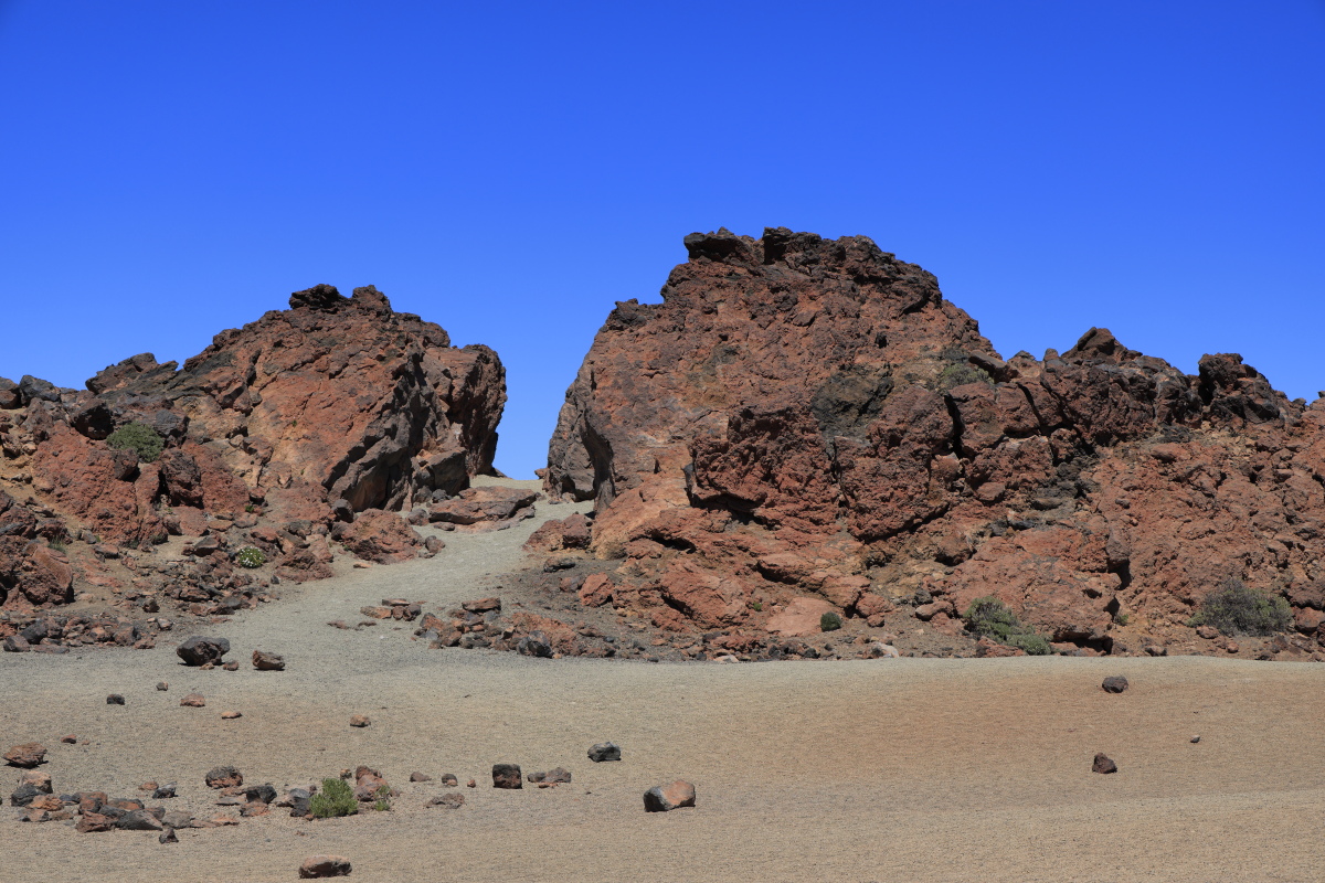 05.16 Teneriffa  08A0462