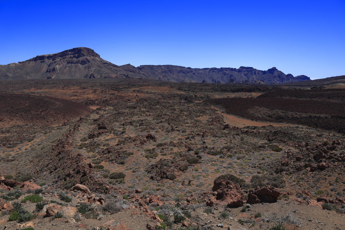 05.16 Teneriffa  08A0463