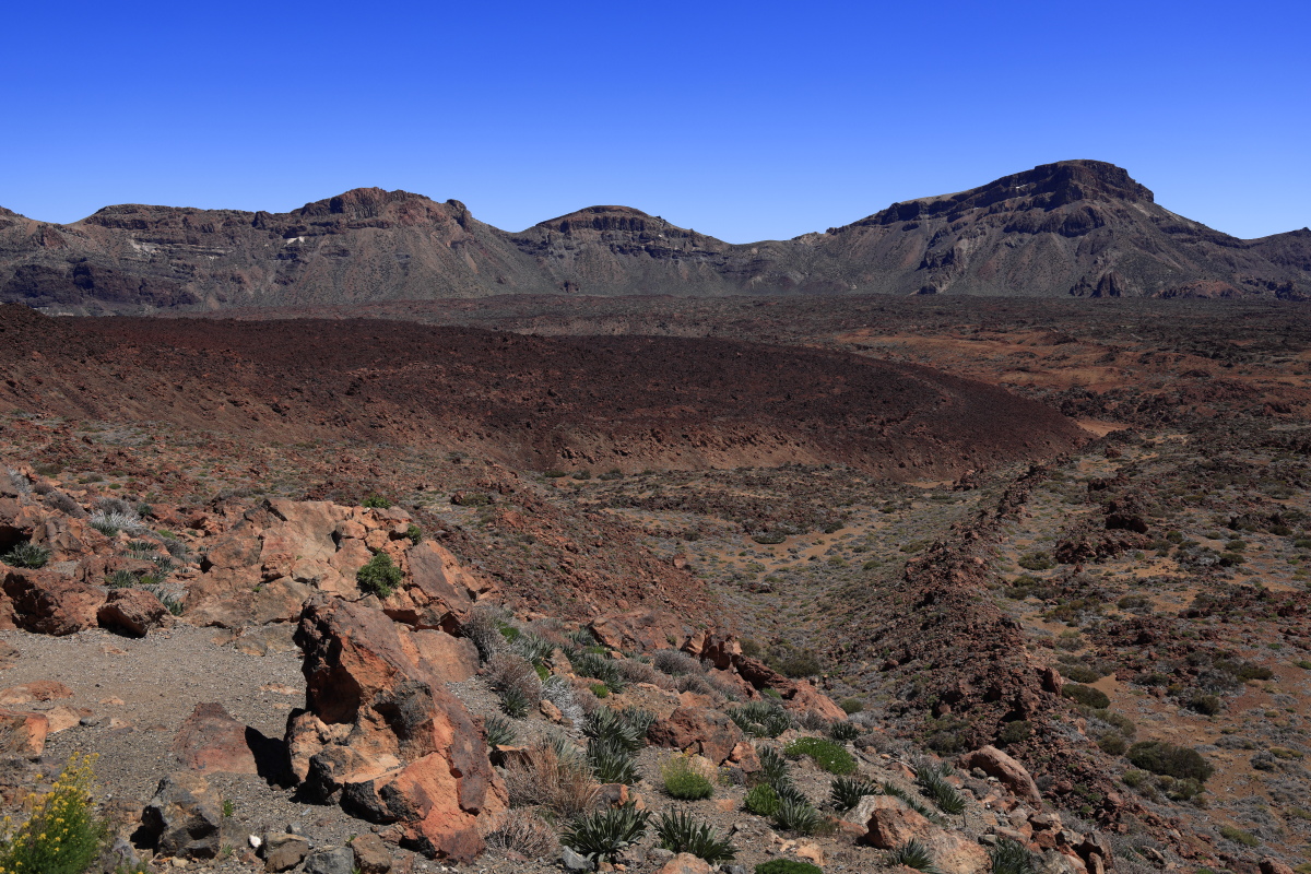 05.16 Teneriffa  08A0464