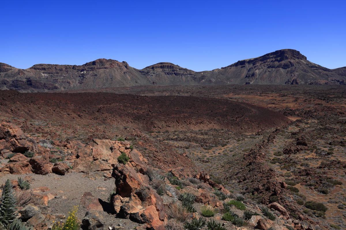 05.16 Teneriffa  08A0466