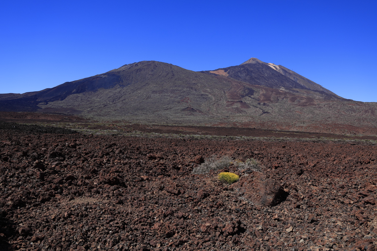 05.16 Teneriffa  08A0477