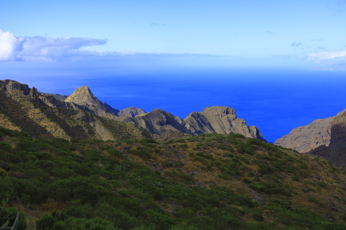 05.17 Teneriffa  08A0489