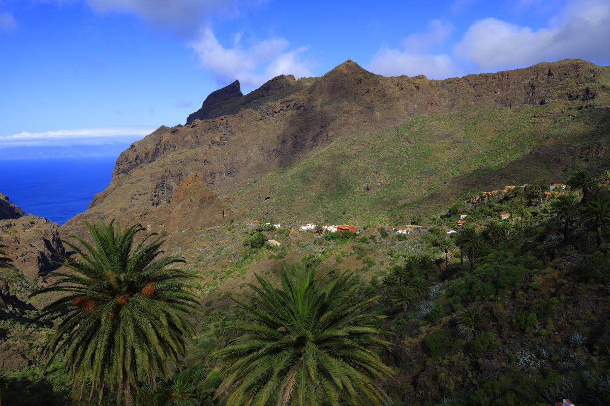 05.17 Teneriffa  08A0493