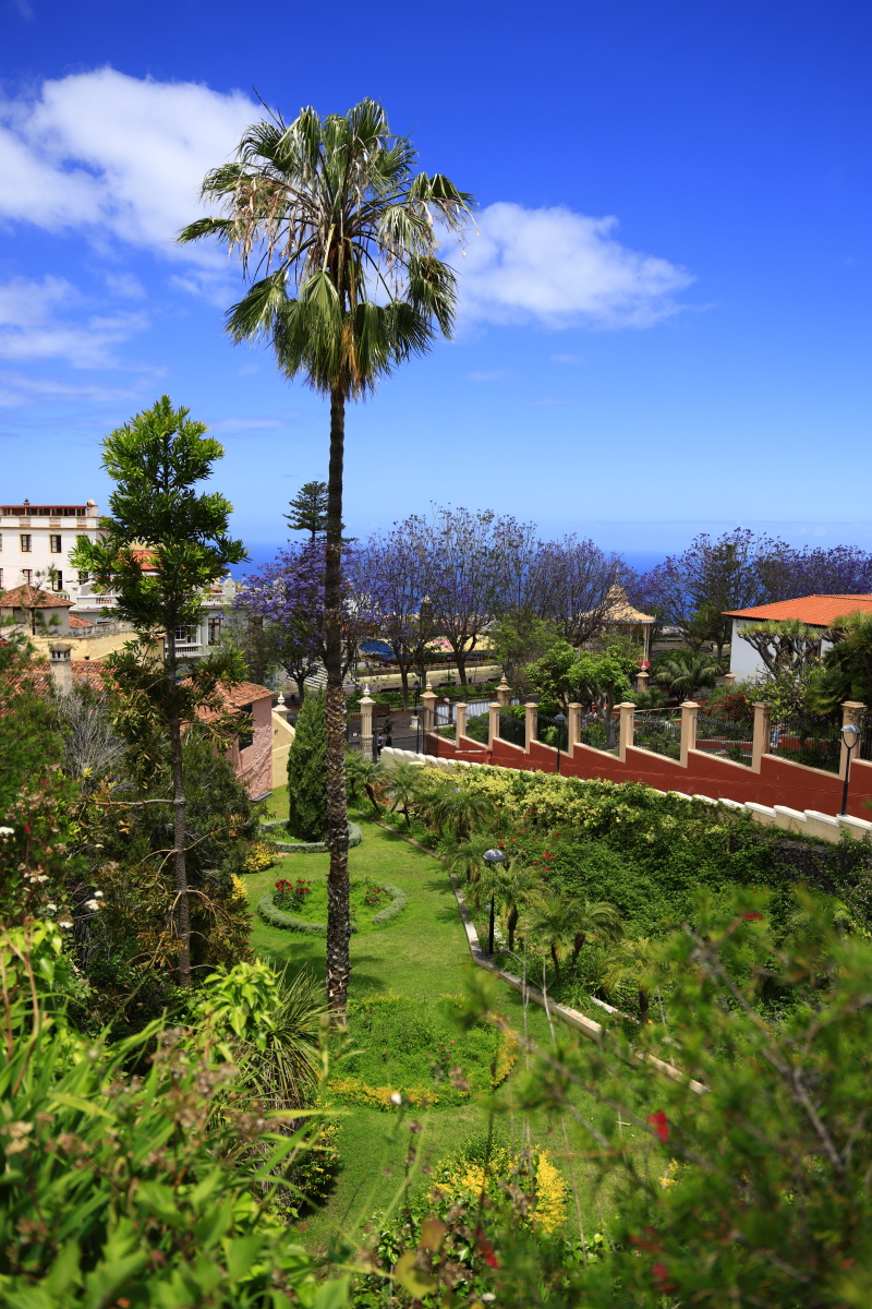 05.17 Teneriffa  08A0550