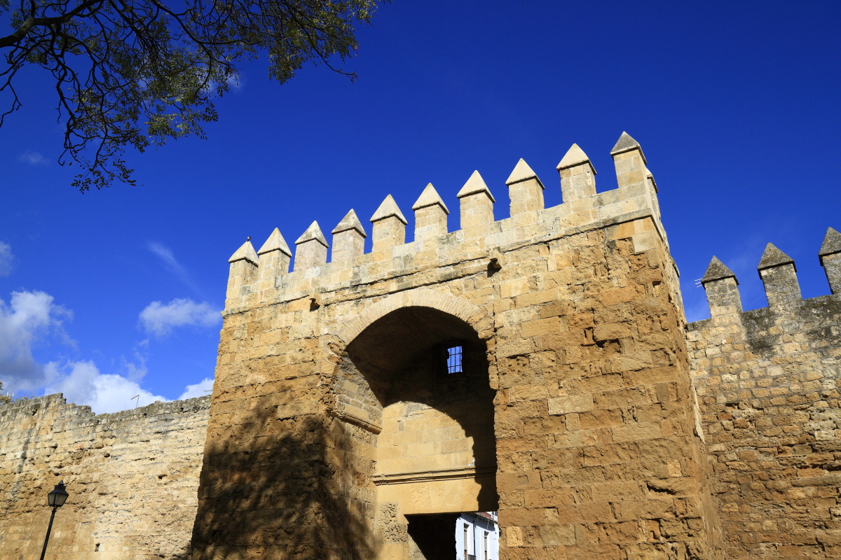 11.09 Andalusien  MG 4707